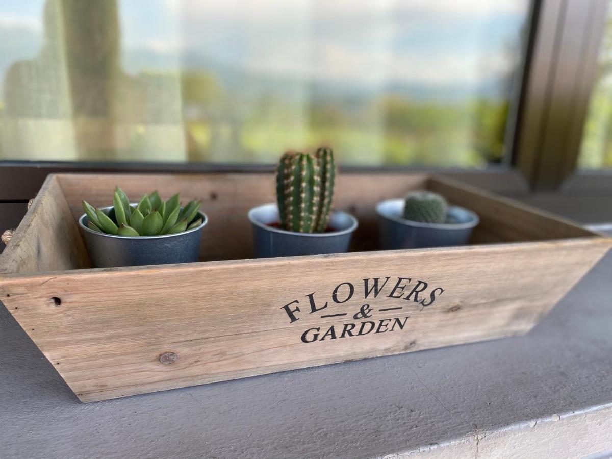 Flowers & Garden Apartment Con Vista Lago Manerba del Garda Luaran gambar